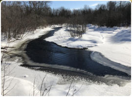 Township of Greenwood, Medford, WI, Taylor County