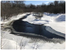 Township of Greenwood, Medford, WI, Taylor County